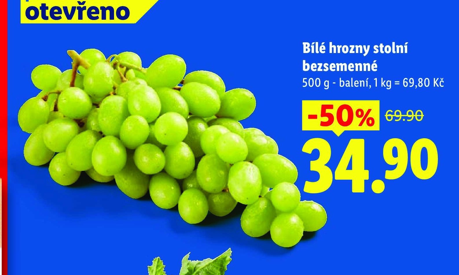 Bílé hrozny stolní bezsemenné