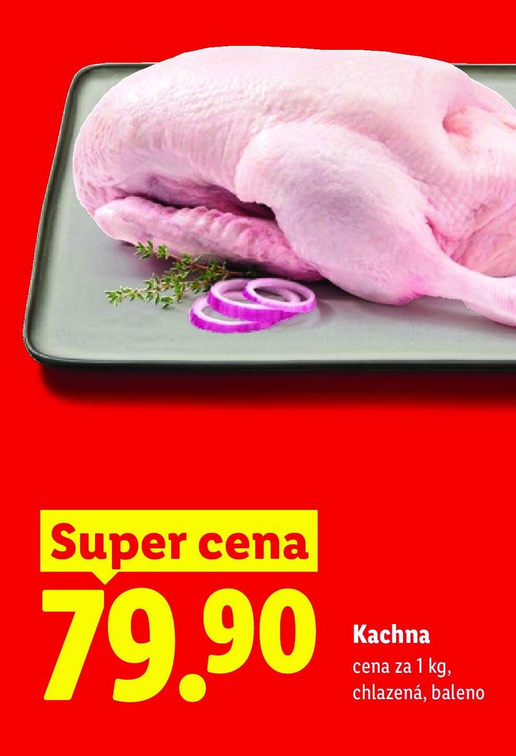 Kachna