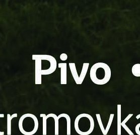 Pivo