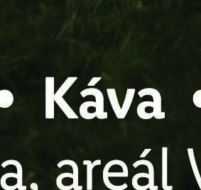 Káva