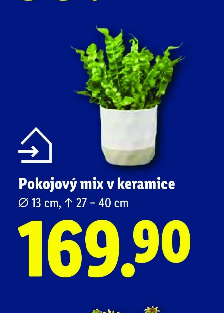 Pokojový mix v keramice