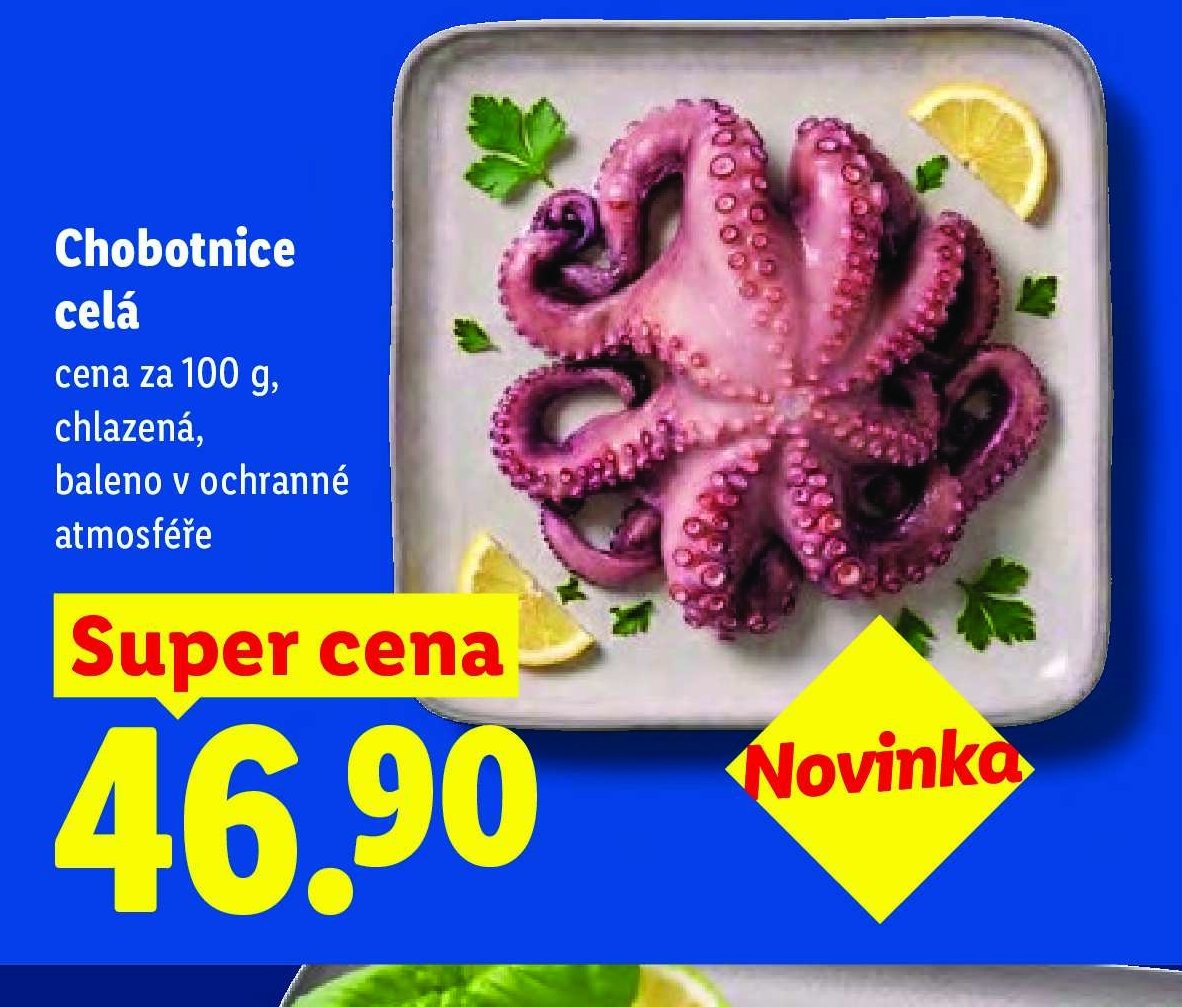 Chobotnice celá