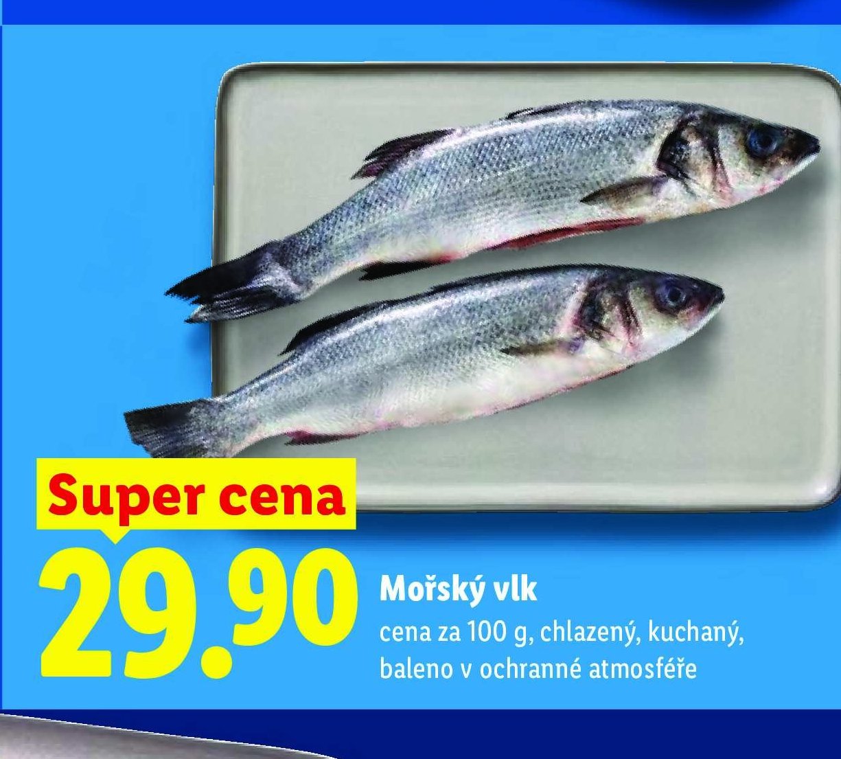 Mořský vlk