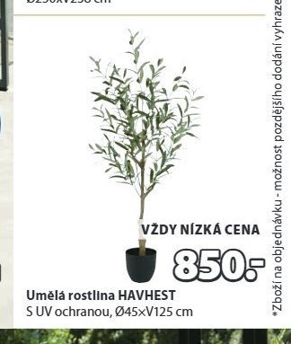 Umělá rostlina HAVHEST - Jysk akcniletaky.com