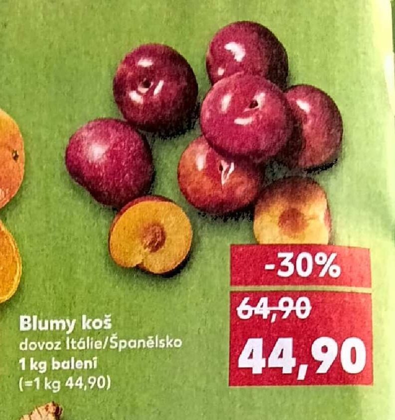 Blumy koš
