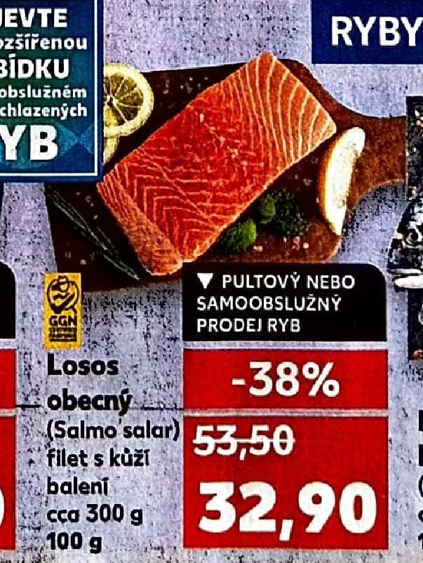 Losos obecný
