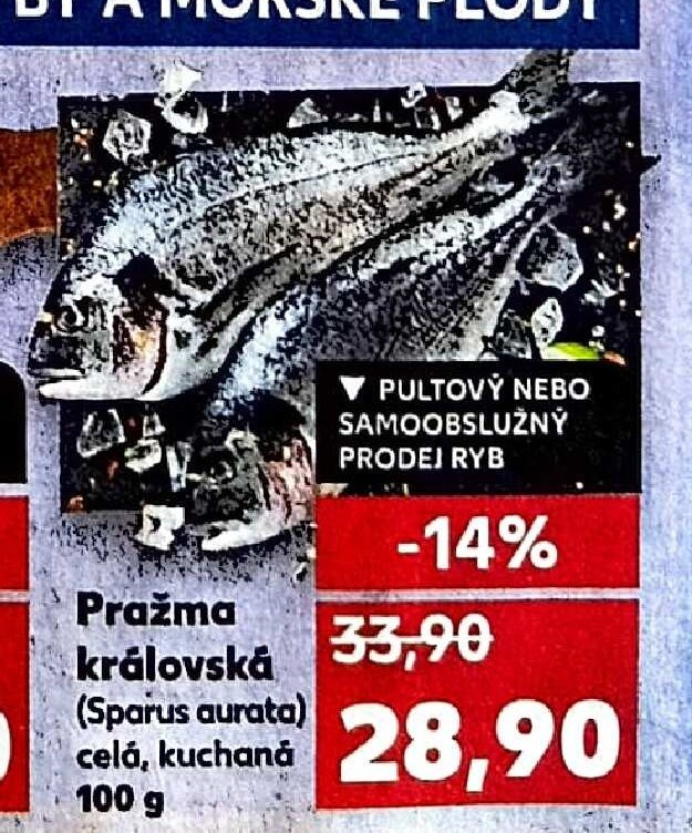 Pražma královská