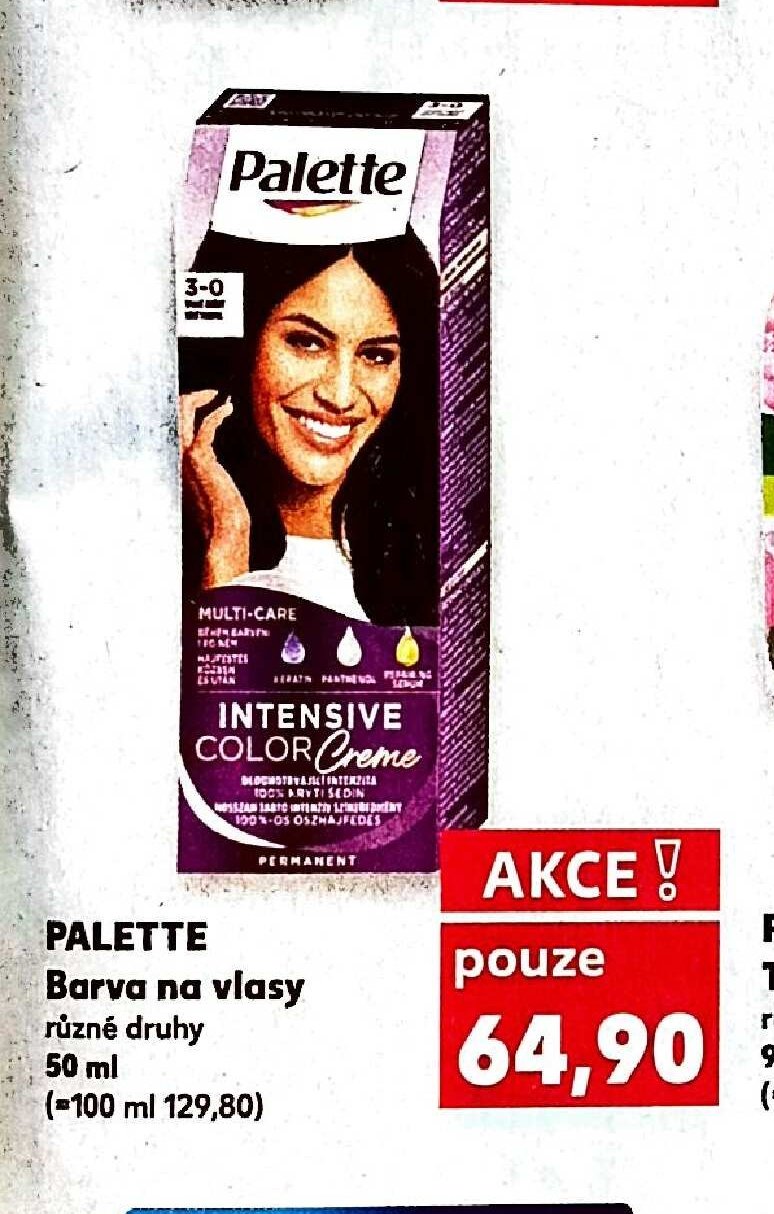 PALETTE Barva na vlasy
