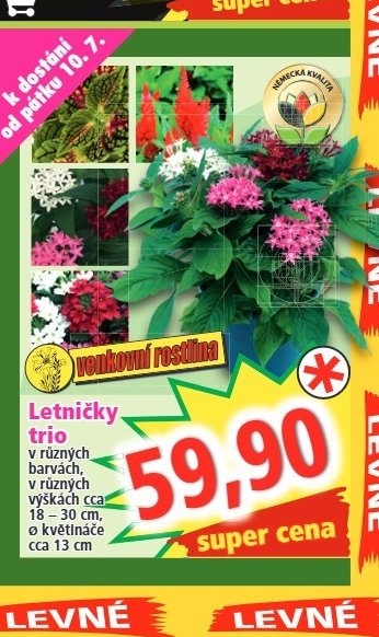 Letničky trio