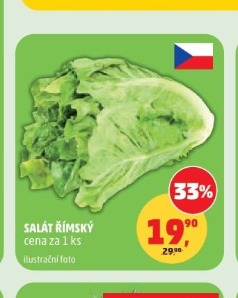 SALÁT ŘÍMSKÝ