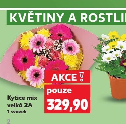 Kytice mix velká 2A