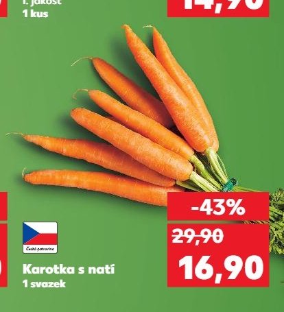 Karotka s natí