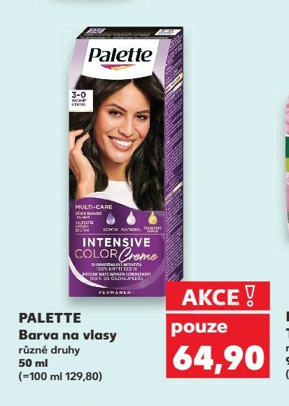 PALETTE Barva na vlasy