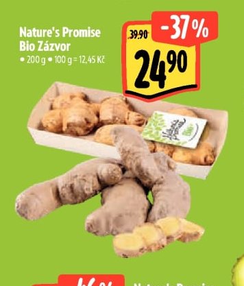 Nature's Promise Bio Zázvor