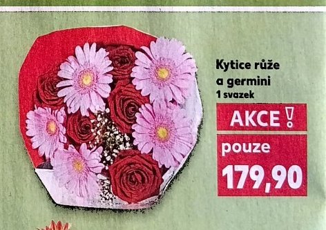 Kytice růže a germini