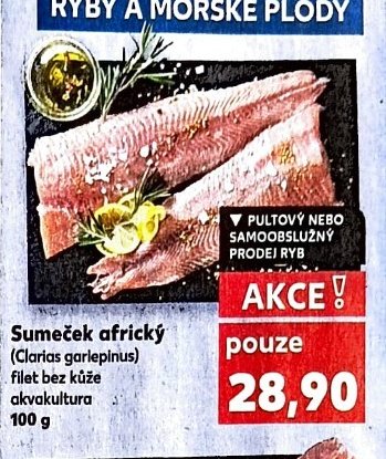 Sumeček africký