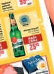 Pivo