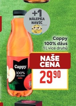 Cappy 100% džus