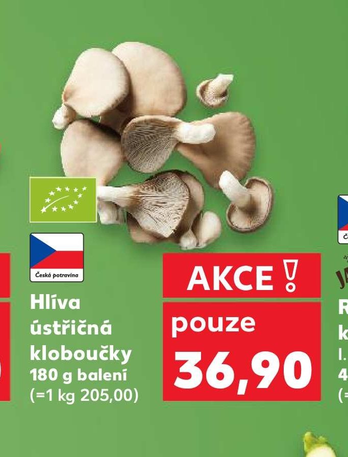 Hlíva ústřičná 180 g