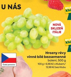 Hrozny révy vinné bílé bezsemenné