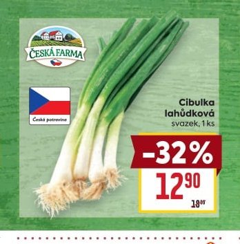 Cibulka lahůdková
