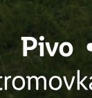 Pivo