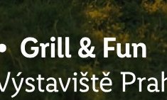 Grill & Fun