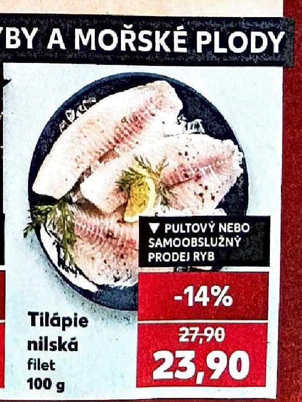 Tilápie nilská filet