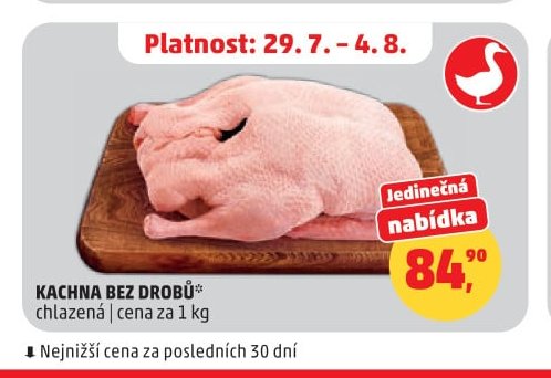KACHNA BEZ DROBŮ