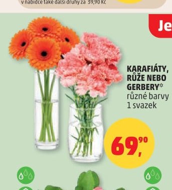 KARAFIÁTY, RŮŽE NEBO GERBERY
