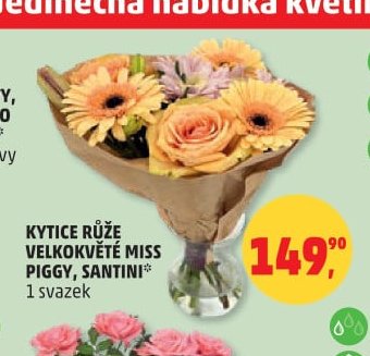 KYTICE RŮŽE VELKOKVĚTÉ MISS PIGGY, SANTINI