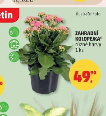 ZAHRADNÍ KOLOPEJKA