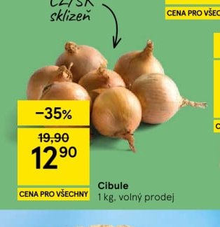 Cibule