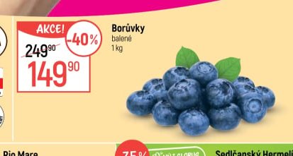 Borůvky