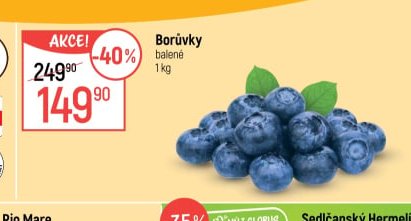 Borůvky