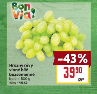 Hrozny révy vinné bílé bezsemenné