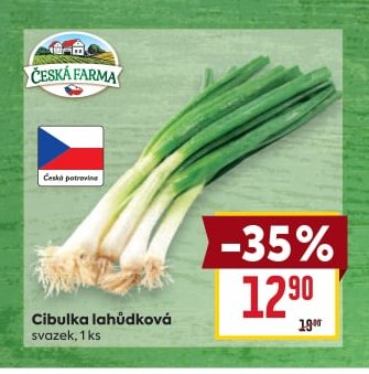 Cibulka lahůdková