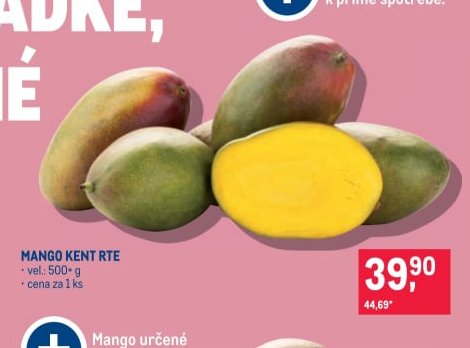 Mango Kent RTE