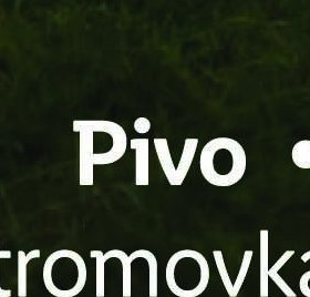 Pivo