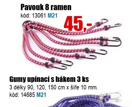 Pavouk 8 ramen