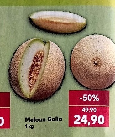 Meloun Galia