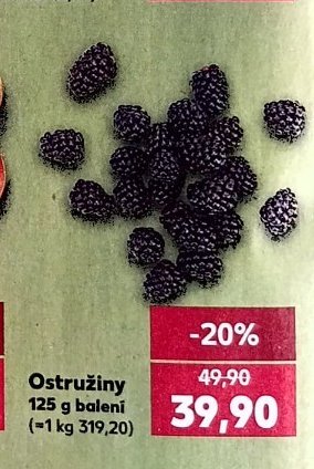 Ostružiny