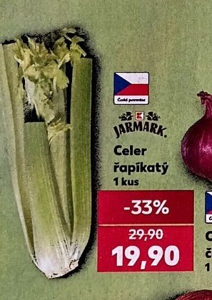 Celer řapíkatý