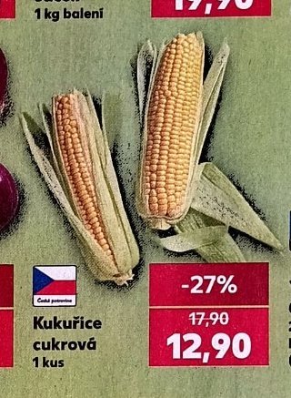 Kukuřice cukrová