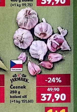 Česnek