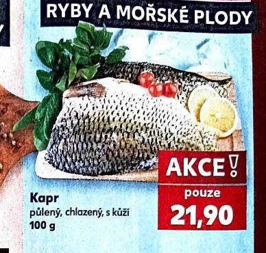 Kapr