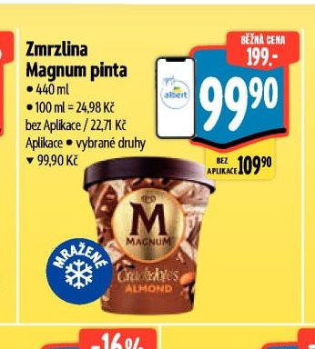 Zmrzlina Magnum pinta