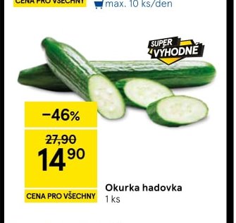 Okurka hadovka