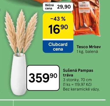 Sušená Pampas tráva