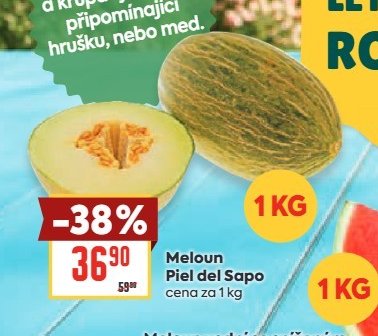 Meloun Piel del Sapo